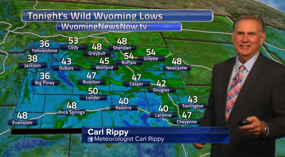 Carl Rippy media image 4